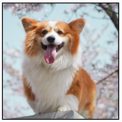 A landscape image cropped to fill a square frame, showing only the central part of the image.