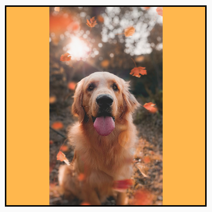 A portrait image, originally larger than its square bounds, scaled down to fit while maintaining aspect ratio, showing yellow background on the sides.